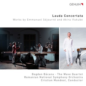 Concerto for Marimba Quartet, 