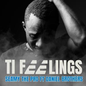 Ti Feelings (feat. Seamy The Pro & Daniel Brothers)