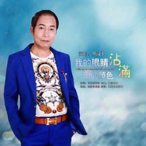 我的眼睛沾满雨的颜色