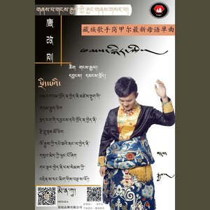 康改则