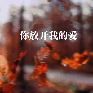 你放开我的爱