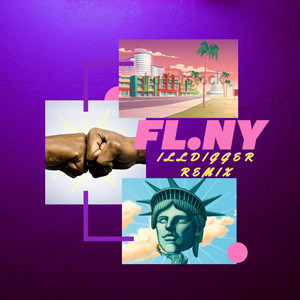 Fl.ny (ILLDIGGER REMIX) [Explicit]