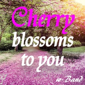 Cherry blossoms to you