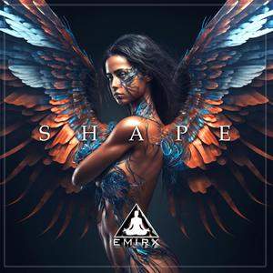 Shape