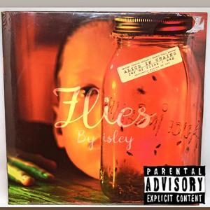 'FLIES, (Violent Crimes) [Explicit]