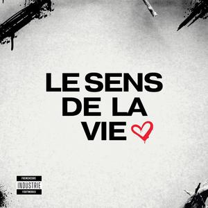 LE SENS DE LA VIE