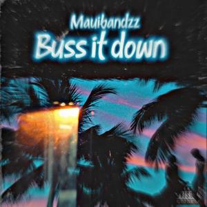 Buss it down (feat. Lepobru & Loto)