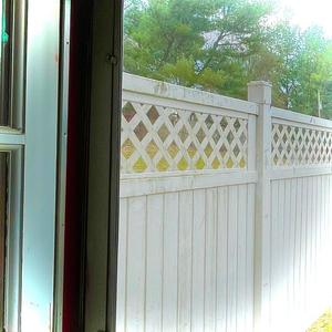 I Guess It's Hard To Say That Everything's Not Fine (Explicit)