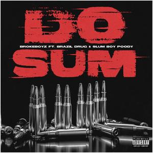 Do Sum (feat. BrazilDrug & SlumBoy Poody) (Explicit)