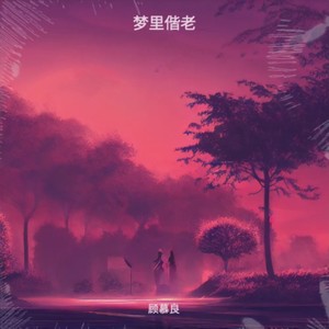 梦里偕老封面