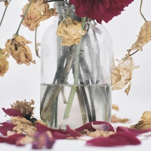 Hourglass (feat. ハシシ)