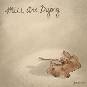 mice are dying