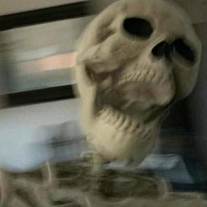 days before disaster (Explicit)