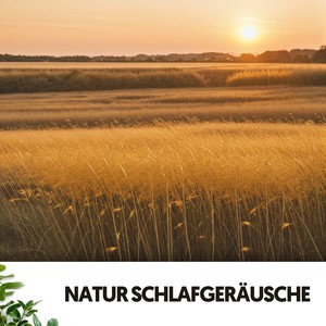 Natur Schlafgeräusche: Symphonie der Gelassenheit