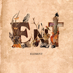 ELEMENT