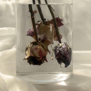 who the fck is AYMZ (Explicit)