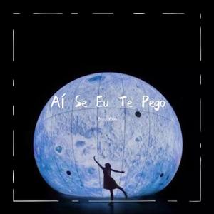 Ai Se Eu Te Pego (中文名《诶，如果我抓住你》 Cover：Michel Teló）