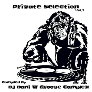 Private Selection, Vol. 2: Compiled By DJ Dani W Groove Complex