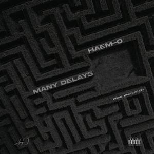 Many Delays (Explicit)