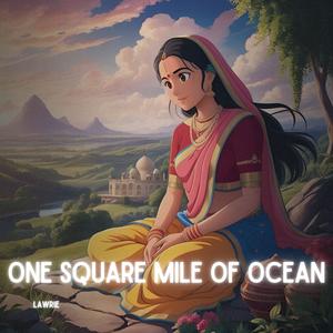 One Square Mile of Ocean