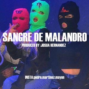 sangre de malandro