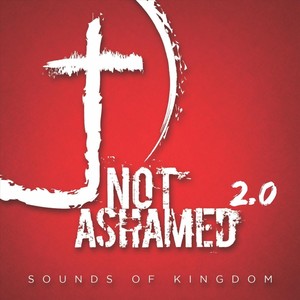 Not Ashamed 2.0 (feat. Troy Barnett)