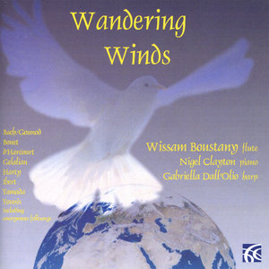 Wandering Winds