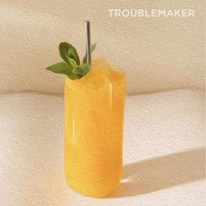 Troublemaker