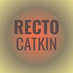 Recto Catkin