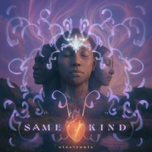 Same Kind (Electronic)