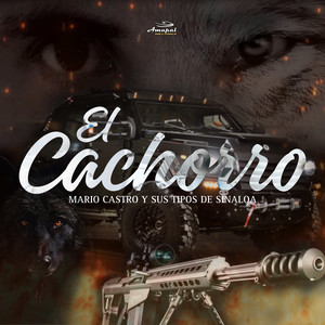 El Cachorro