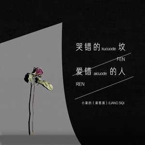 哭错的坟爱错的人DJ版-小梁的（梁思琪）