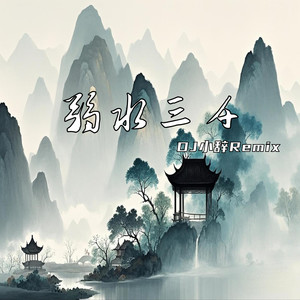 弱水三千 (DJ小辞Remix)