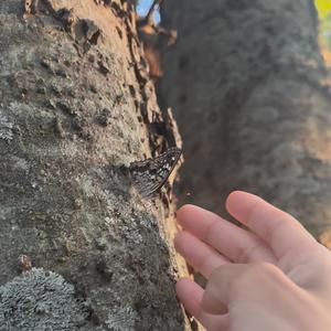 i'll still be here tomorrow