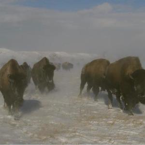 shine in september (Explicit)