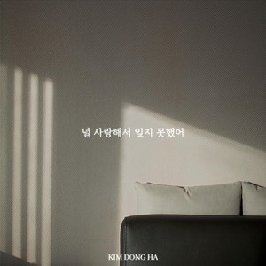 널 사랑해서 잊지 못했어 (Instrumental)