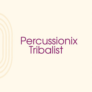 Percussionix