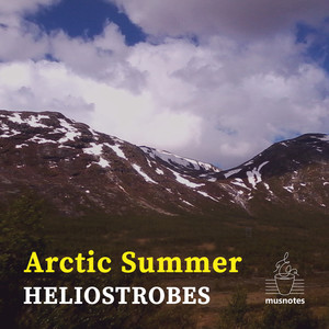 Arctic Summer