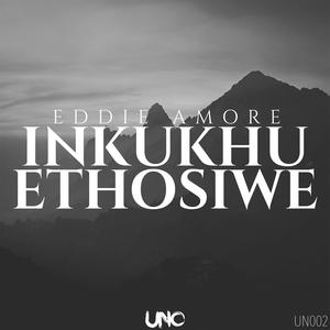 Inkukhu Ethosiwe