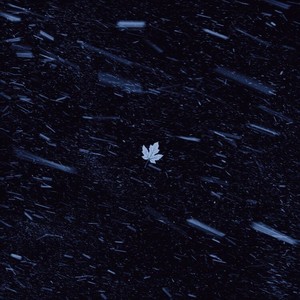 如果还能遇见你