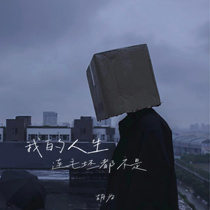 哇扣哇扣 (DJ版)