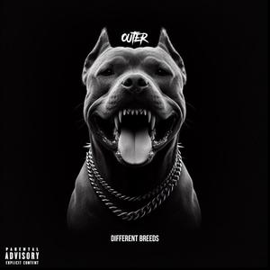 Different Breeds (Explicit)