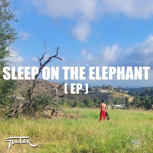 Sleep on the Elephant - EP (Explicit)