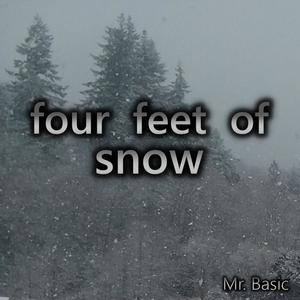 Four Feet Of Snow