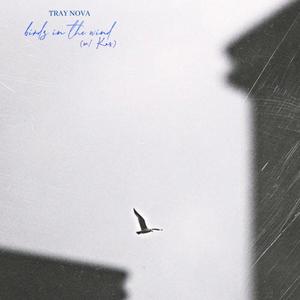birds in the wind(feat. Kas)