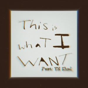 What i Want (feat. YN Shad) (Explicit)