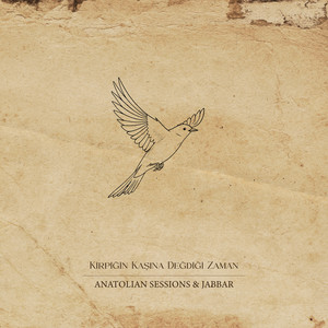 Kirpiğin Kaşına Değdiği Zaman