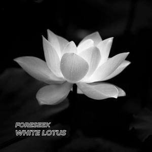 White Lotus