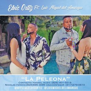 La Peleona(feat. Luis Miguel del Amargue)