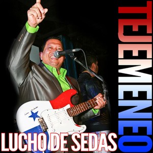 El Tejemeneo(Va a Cazar)